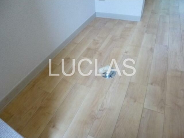 ベルハイム（高田馬場） その他9