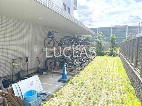 アルテシモジーノ その他3