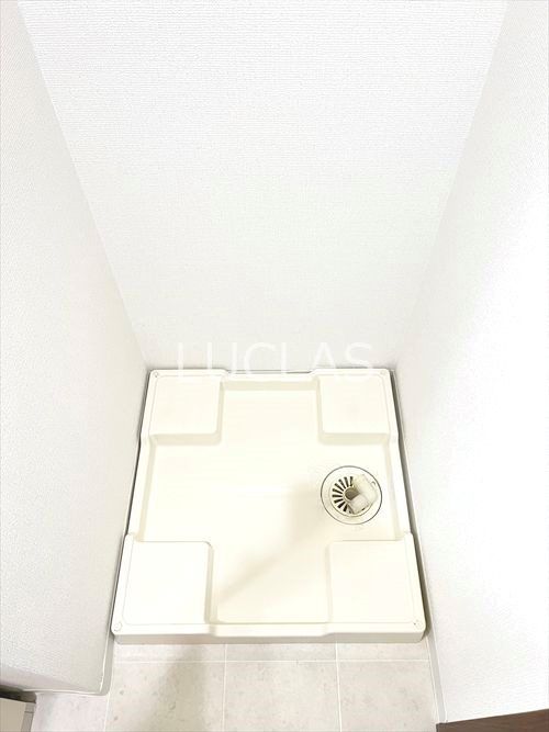 アルテシモジーノ その他12