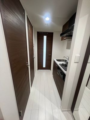 アルテシモジーノ その他13