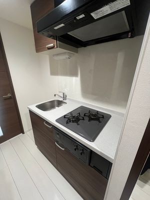 アルテシモジーノ その他14