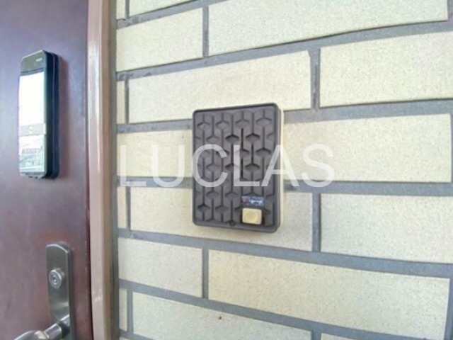 シンシアリー その他5