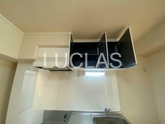 シンシアリー その他14