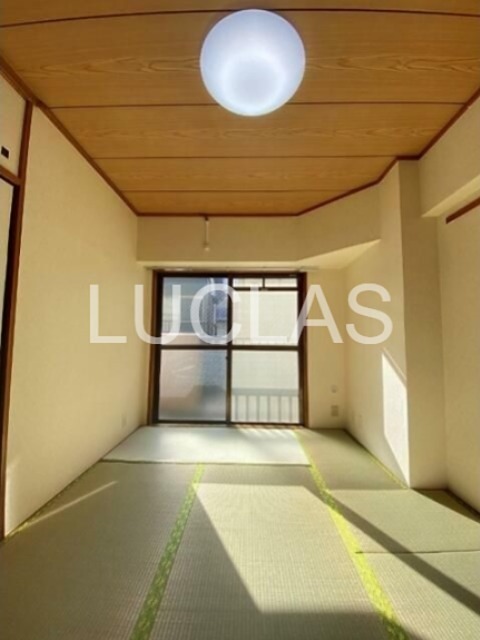 シンシアリー その他18