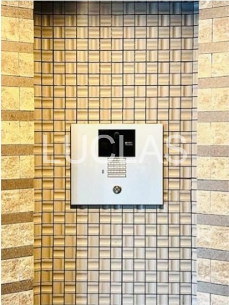 ＣＯＣＯ－ＣＨＩＬＬ　ＫＡＭＥＡＲＩ その他7