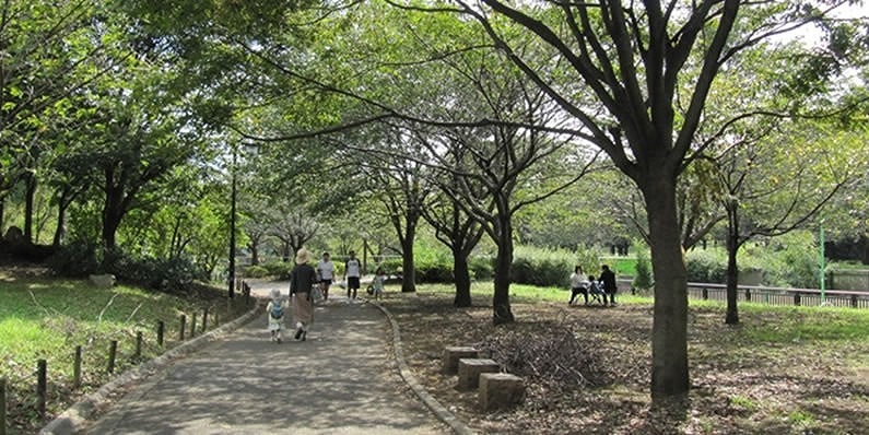 コンフォール上祖師谷 周辺画像10