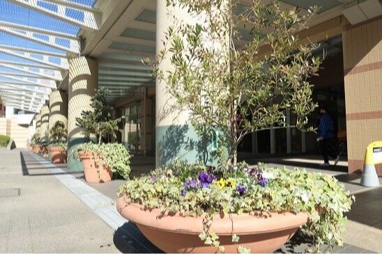 河田町ガーデン１号棟 その他1