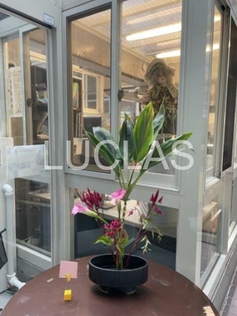 柏木MURA その他3