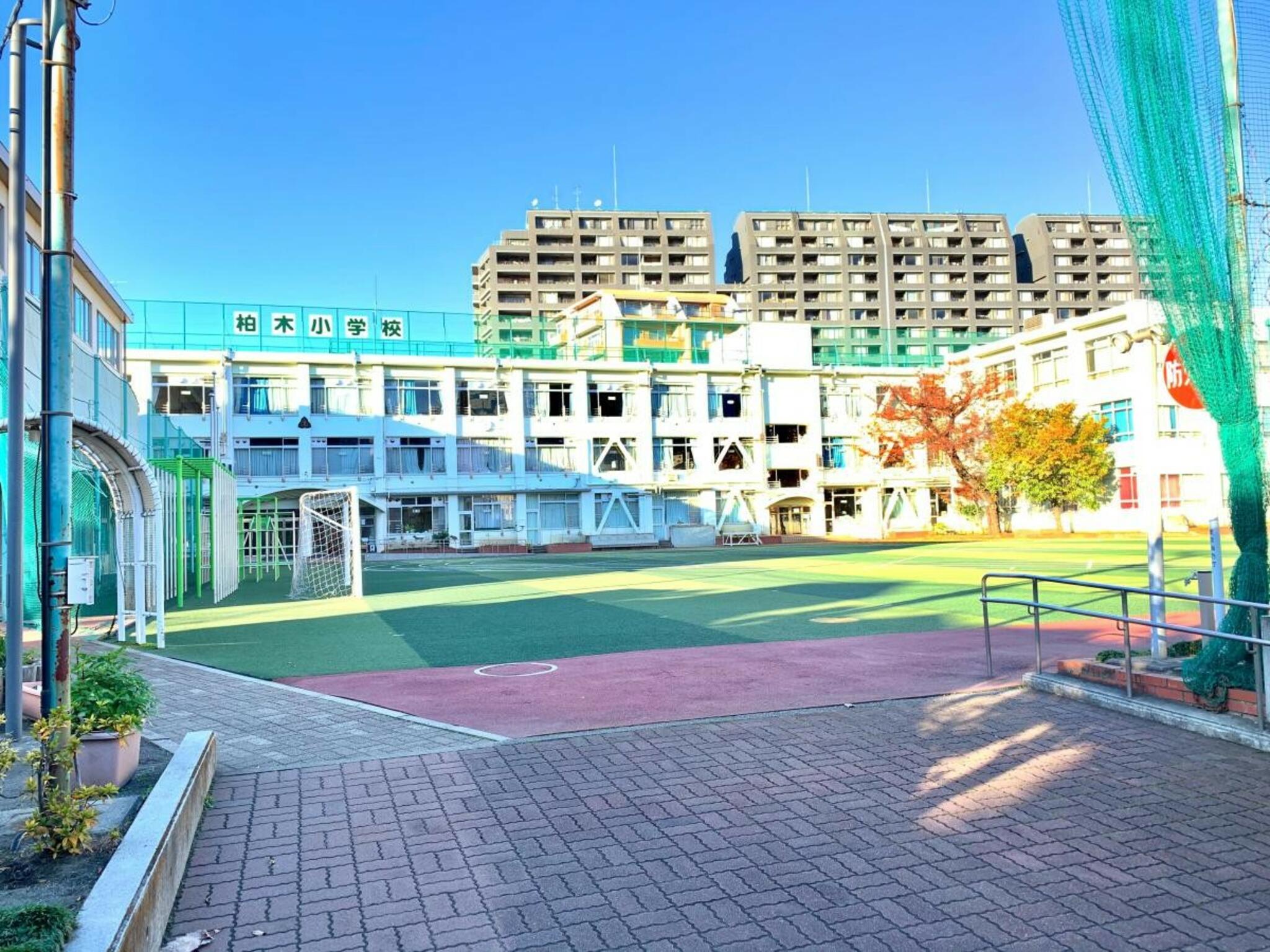 ザ・パークハウス西新宿タワー60  周辺画像6