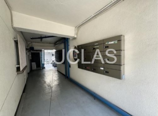 ＥＳＰＥＲＡＮＺＡ　ＨＡＴＳＵＤＡＩ その他5