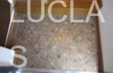 フェニックス早稲田第２ 玄関