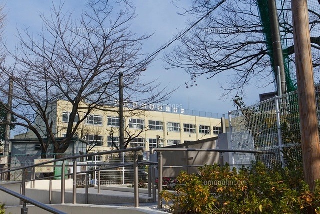 ルーブル中野新橋弐番館 周辺画像6