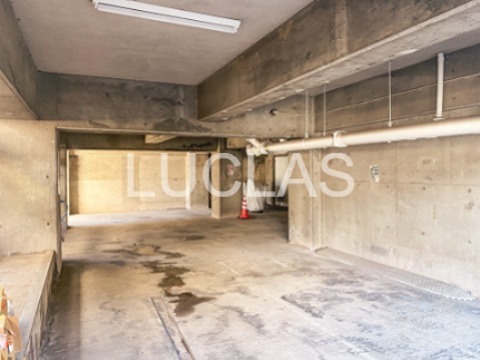 セザール東大久保 その他8