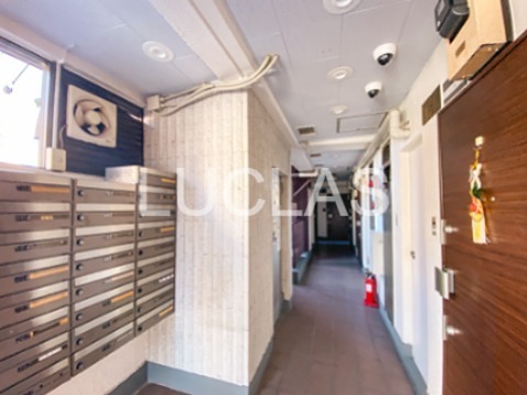 セザール東大久保 その他11