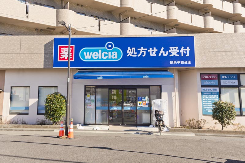 ファインライツ氷川台 周辺画像5