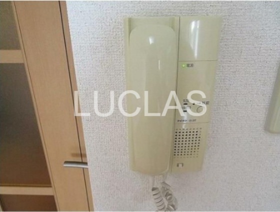 ＬＯＴＵＳ　ＧＡＲＤＥＮ　ＨＯＳＡＫＡ その他5