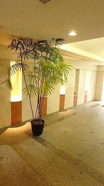 グランハイツ東新宿 その他6