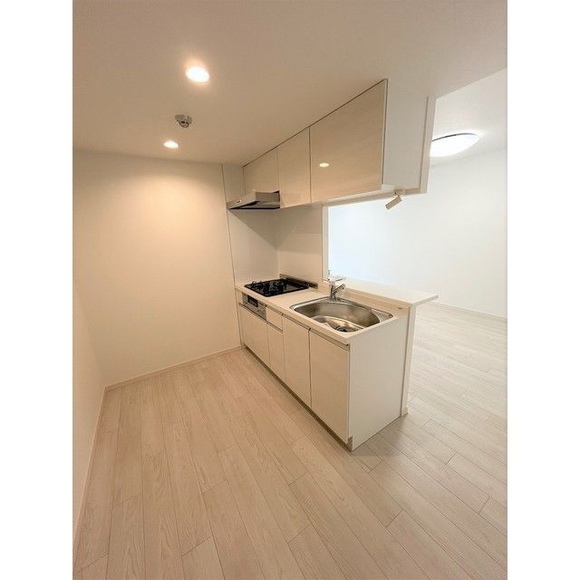 SOLASIA residence世田谷代田 キッチン