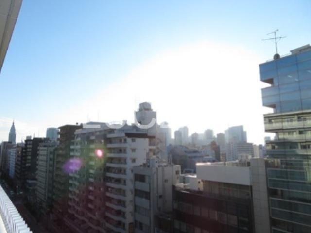 ラクアスレジデンス東新宿 その他5