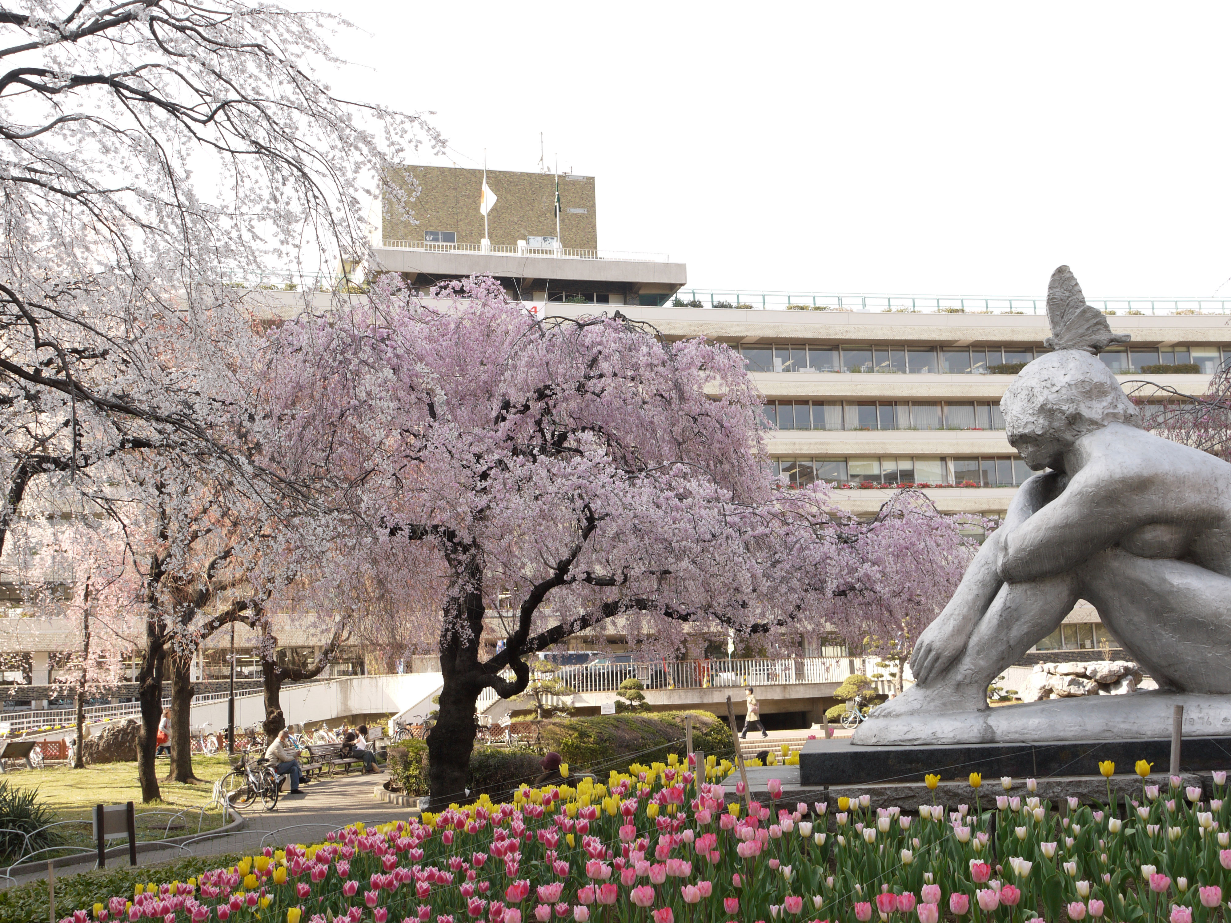 スクエアシティ三ノ輪(SQUARE CITY　MINOWA) 周辺画像9