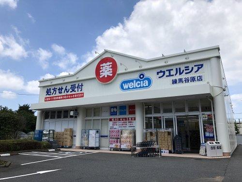 ＺＯＯＭ練馬高野台 周辺画像5