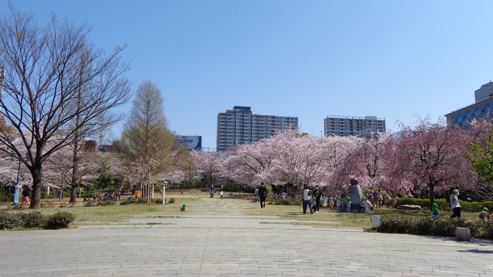 ブリリアンス日本橋浜町公園 周辺画像9