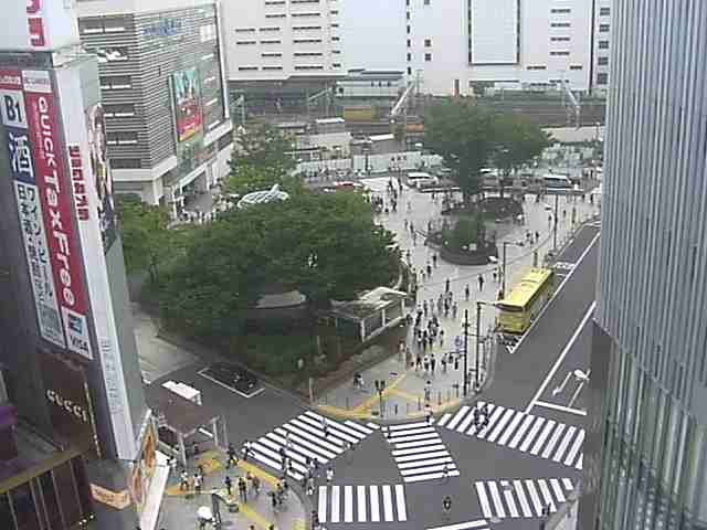レキシントン・スクエア新宿御苑 周辺画像7