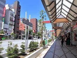 シャンボール門前仲町 周辺画像5