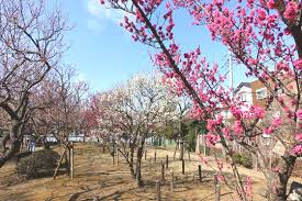 ＧａｒｄｅｎＣｏｕｒｔさくら通り 周辺画像9