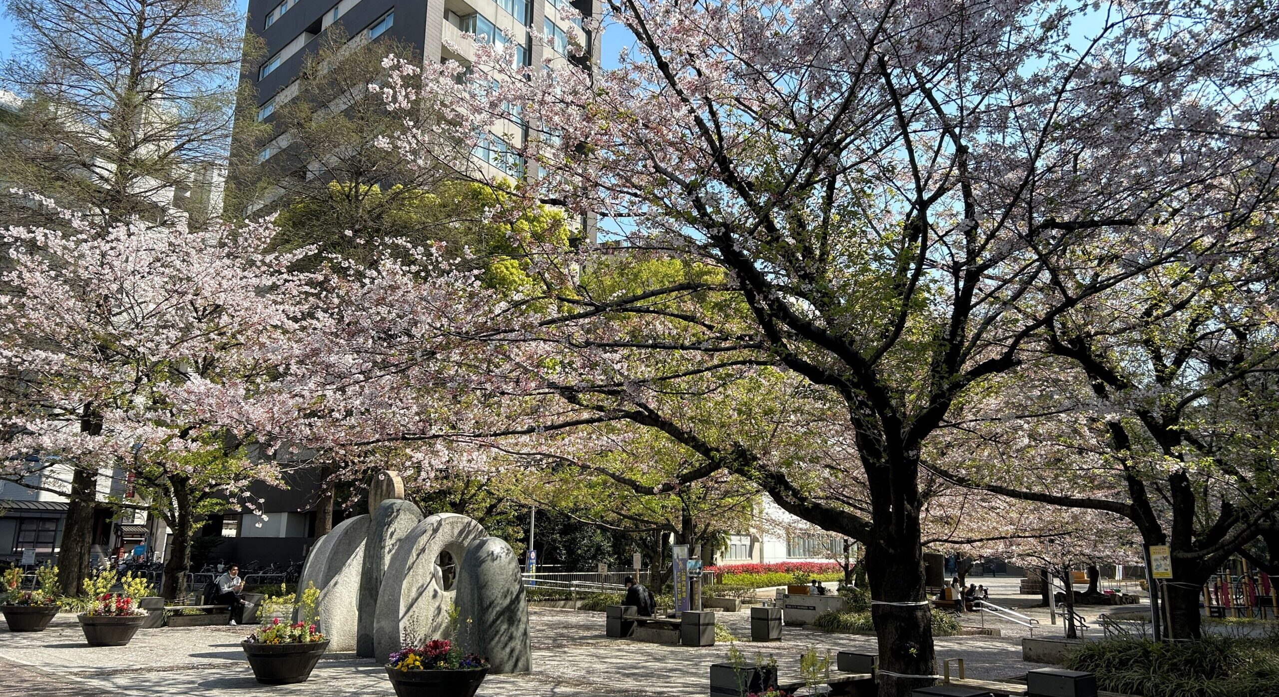 レヴィーナ東京八重洲通り 周辺画像9