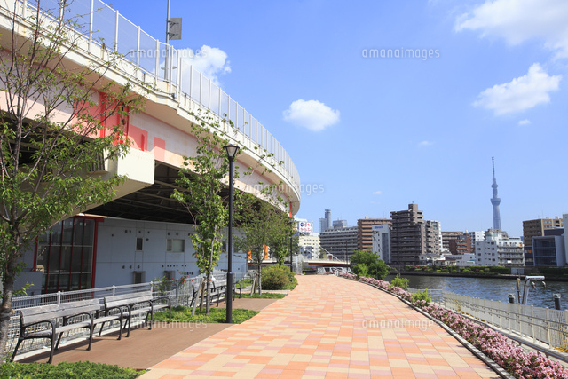 ヴェラハイツ日本橋箱崎 周辺画像9