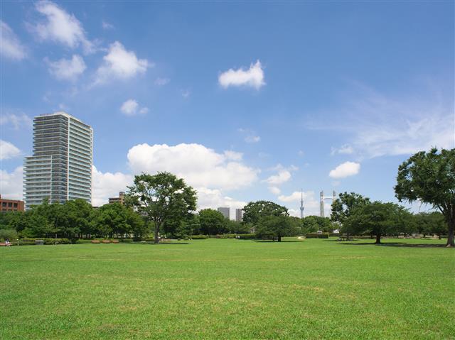 アルヴィータ木場 周辺画像7