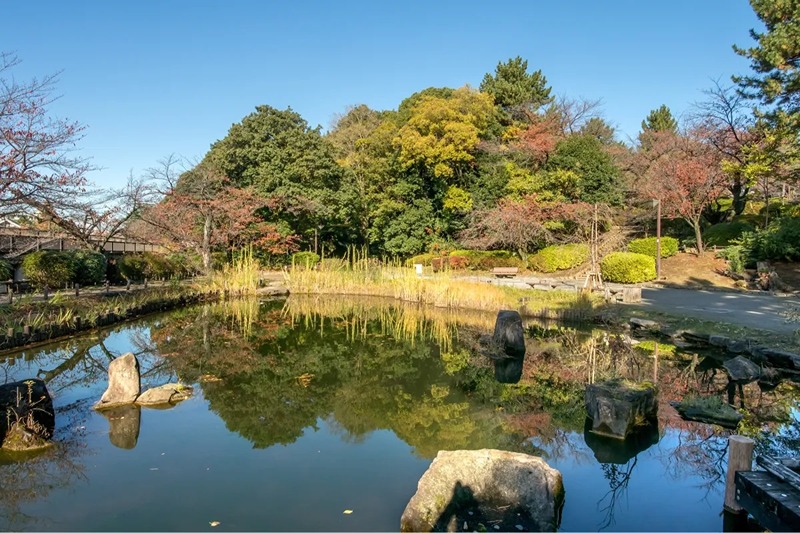 ルーブル新宿西落合Ⅱ 公園