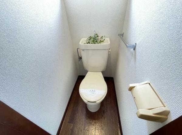 アバン茅ヶ崎 トイレ