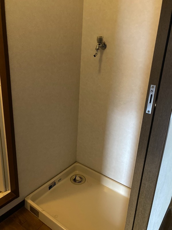 エクセレント伊佐津 洗面所