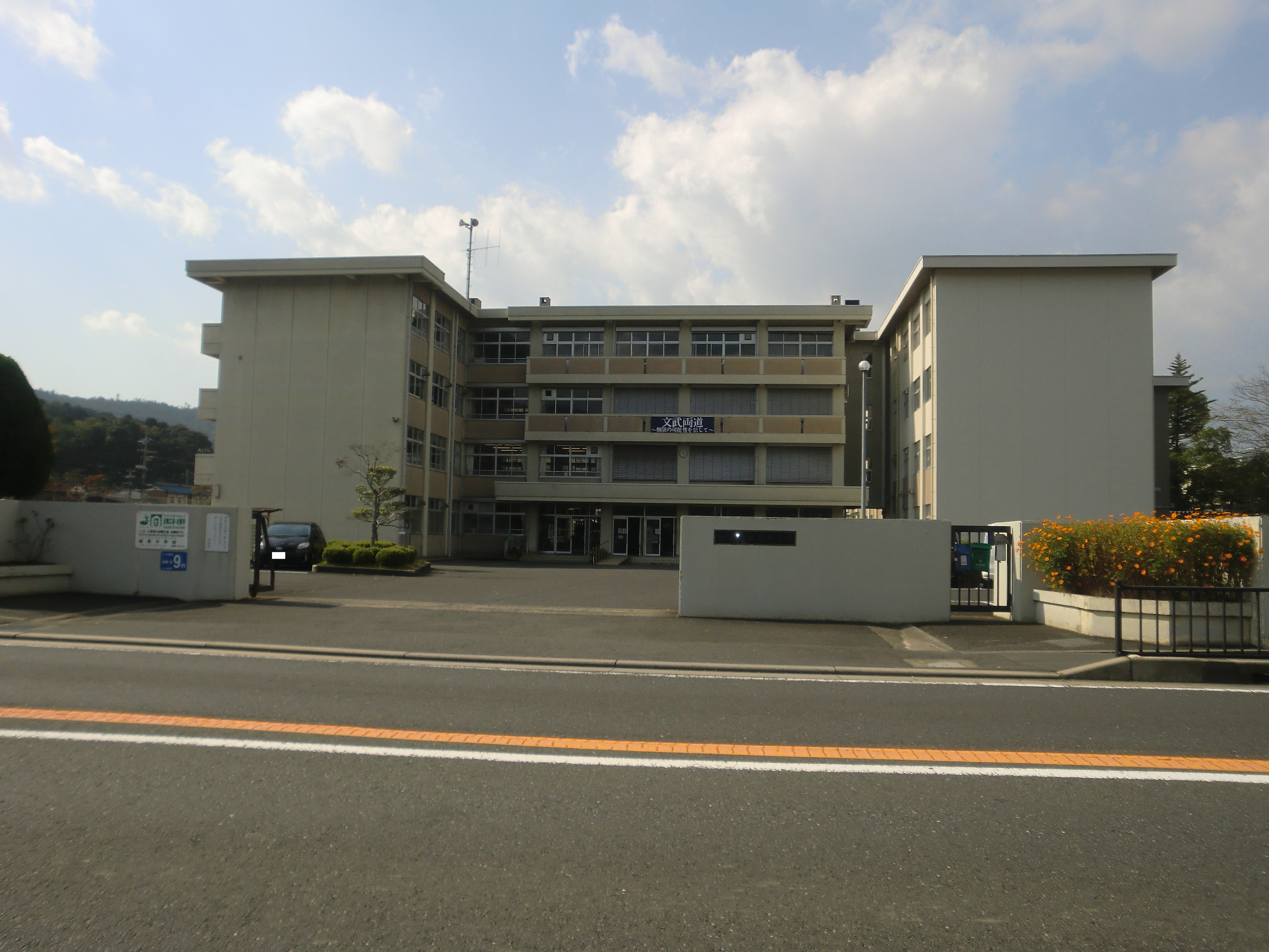 ゴリラ 中学校