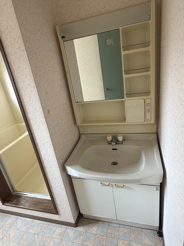 ゴリラ 洗面所