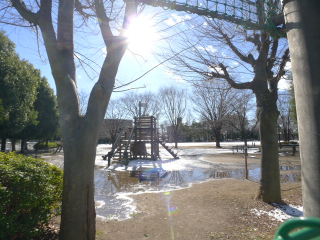 ゴールドパストラルⅥ 公園