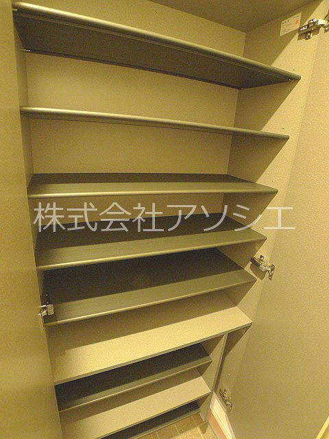 ロイジェントパークス草加手代B 収納
