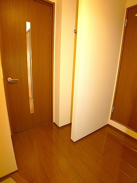 ゼルコバ その他