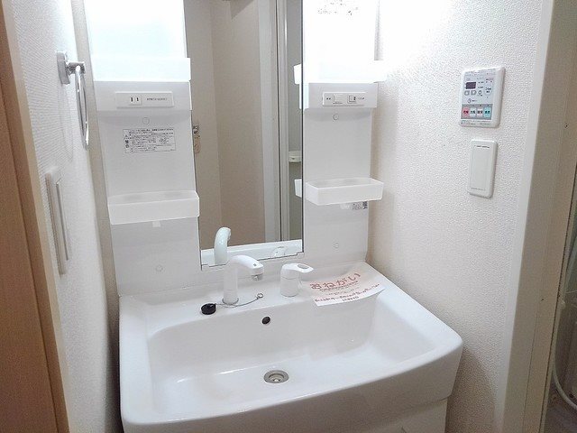 カーサ・フェリーチェ(東越谷) 洗面所