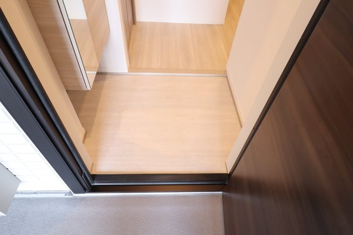 グラナーデ八潮 玄関