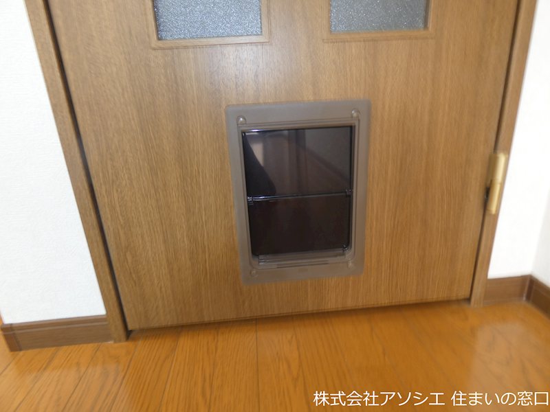 アンプルール　フェール　ベルツリーⅢ その他