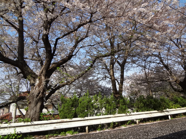 Ｋハウス桜丘 その他4