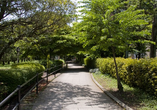 クリア砧公園 周辺画像6