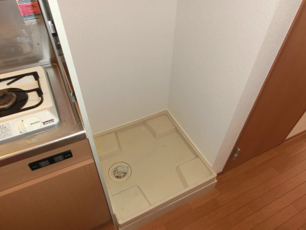 シードリーム その他
