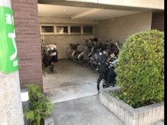 クールセリシエ その他3