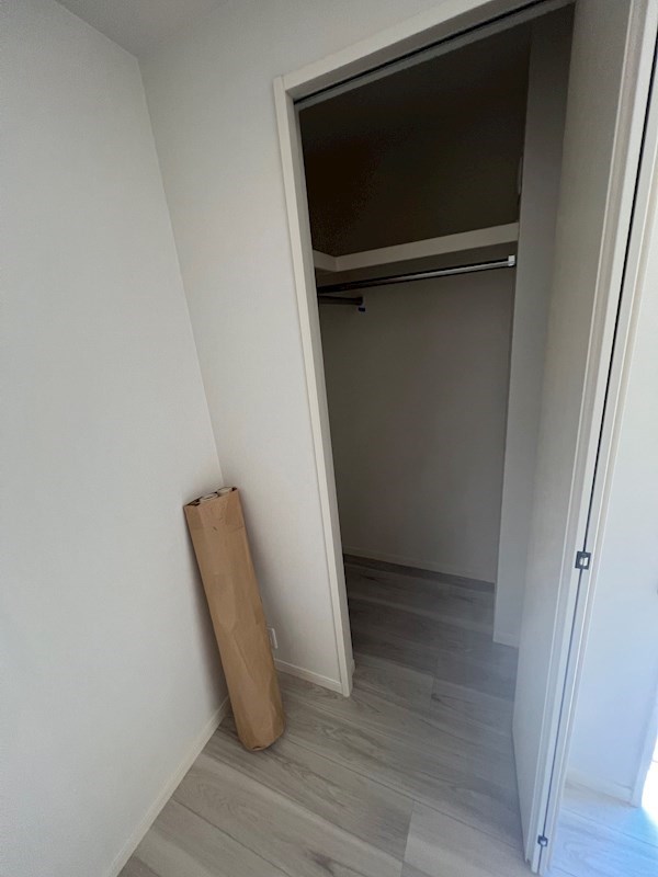 グレース その他1