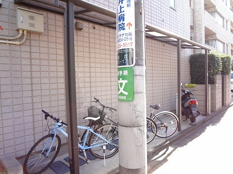 シードリーム その他2