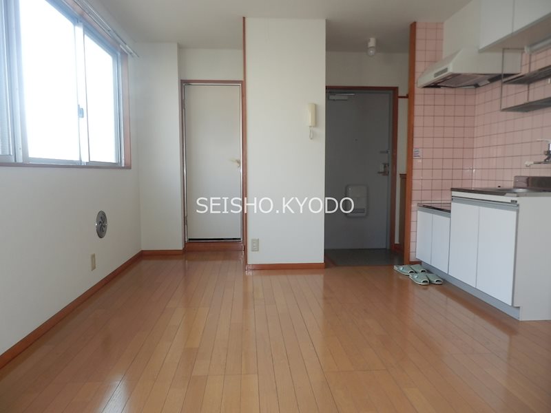 ダイナカビル その他2